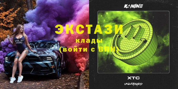 ECSTASY Бородино
