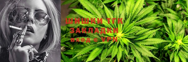 ECSTASY Бородино