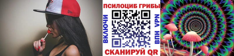 где найти   Медногорск  Галлюциногенные грибы MAGIC MUSHROOMS 