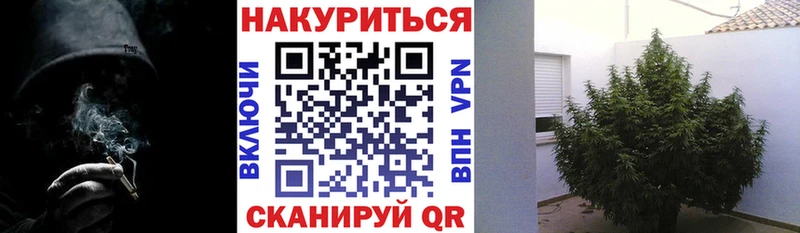 дарк нет наркотические препараты Медногорск МАРИХУАНА Bruce Banner